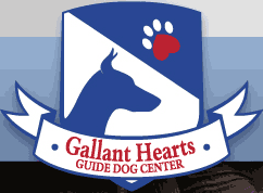 Doberman Gallant Hearts